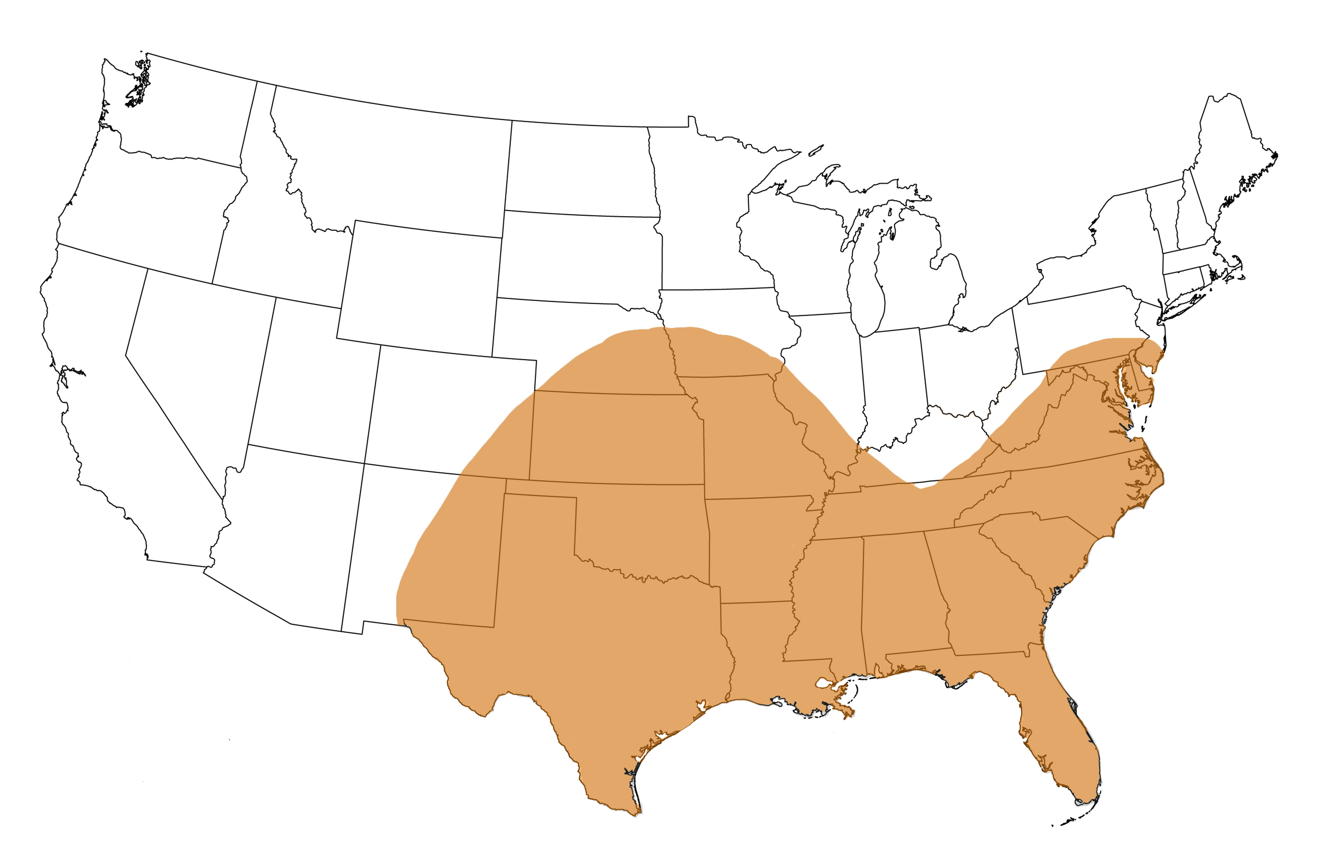  Geographic range of  Schistocerca obscura  (Fabricius) 
